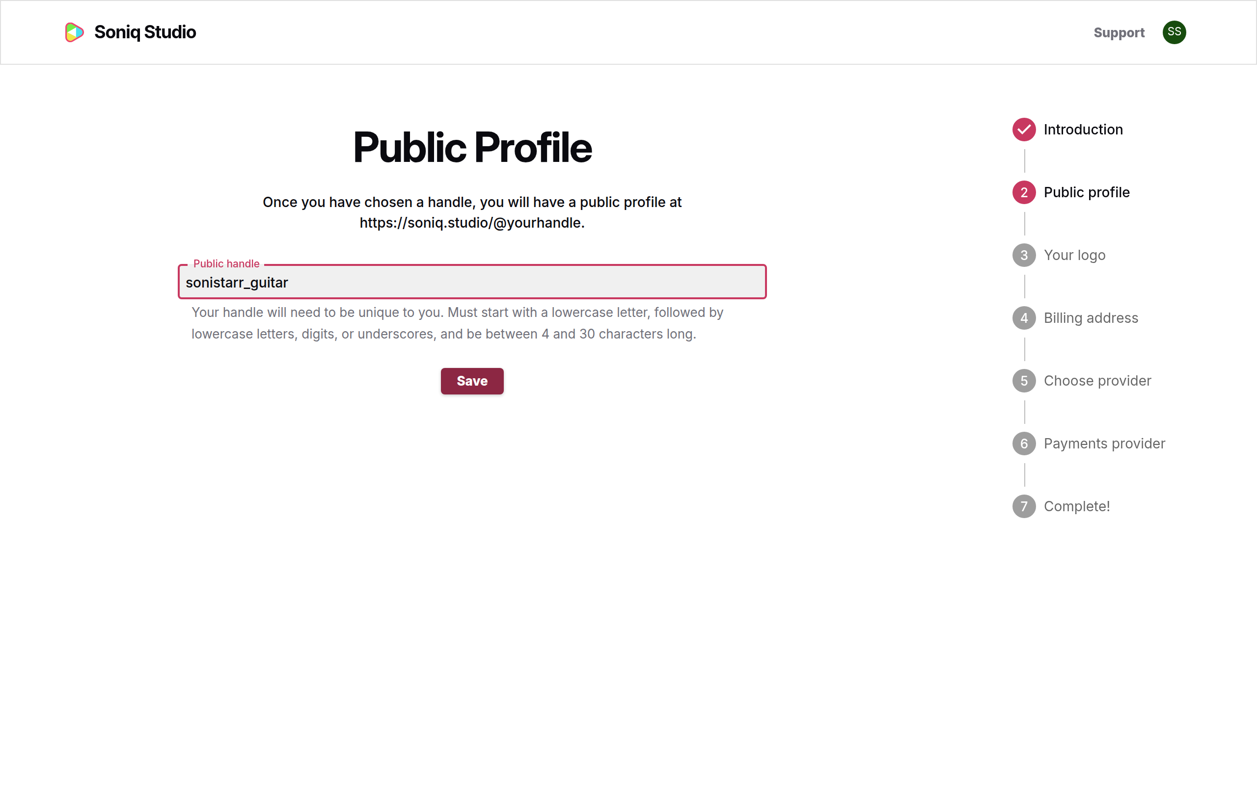 The Public Profile step with sonistarr_guitar entered as the public handle
